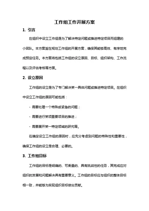 工作组工作开展方案