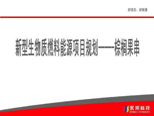 新型生物质燃料能源项目规划-----棕榈果串