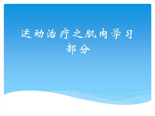 人体解剖与肌肉骨骼大全ppt课件