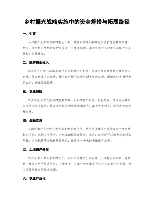乡村振兴战略实施中的资金筹措与拓展路径