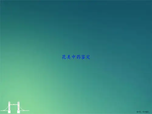 花类中药鉴定讲课文档