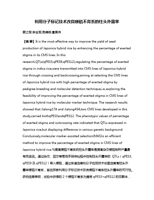 利用分子标记技术改良粳稻不育系的柱头外露率