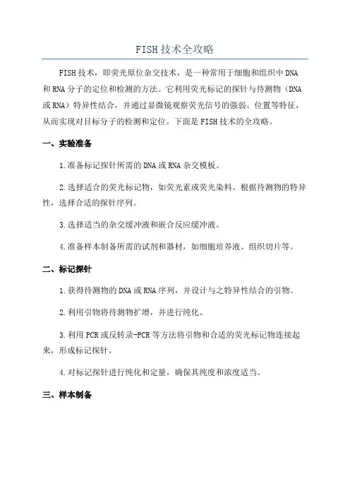 FISH技术全攻略