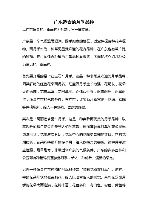 广东适合的月季品种