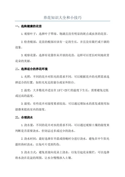 养花知识大全和小技巧