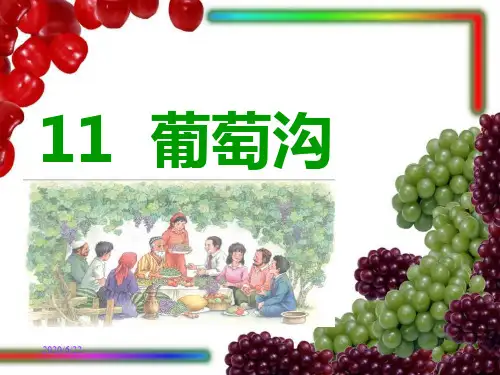 11《葡萄沟》课件PPT