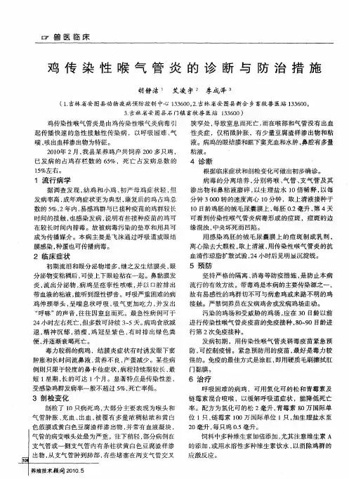鸡传染性喉气管炎的诊断与防治措施