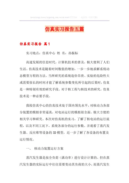 仿真实习报告五篇
