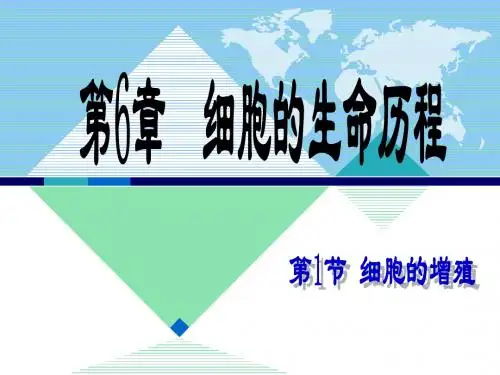 人教版教学课件6.1细胞增殖(定稿)