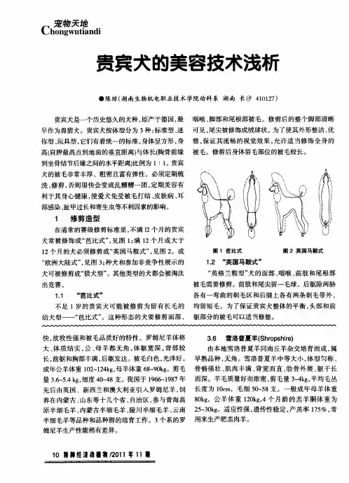 贵宾犬的美容技术浅析