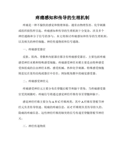 疼痛感知和传导的生理机制
