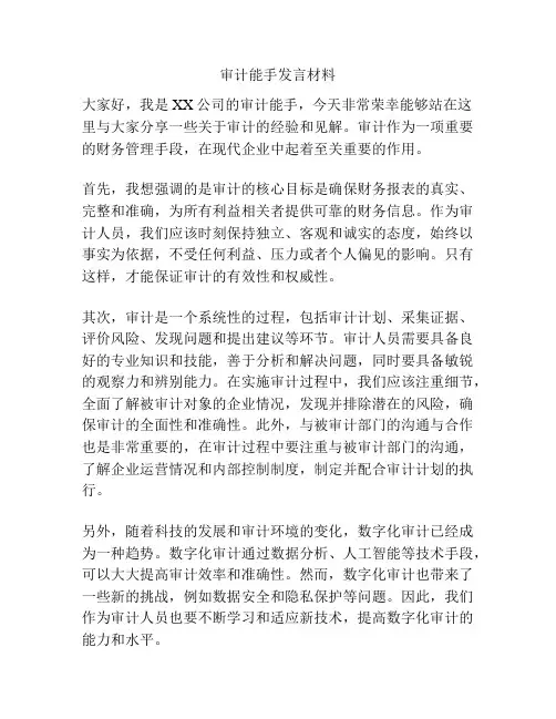 审计能手发言材料