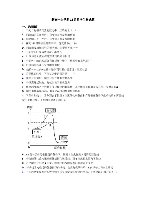 新高一上学期12月月考生物试题