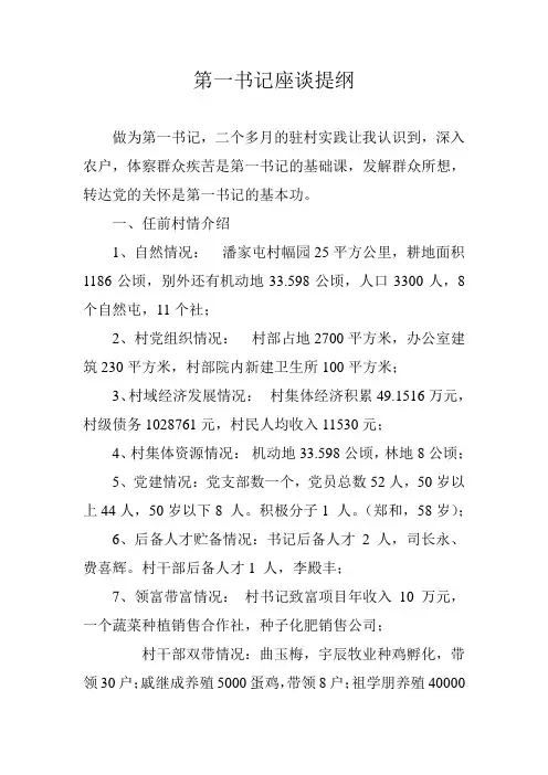 第一书记座谈提纲