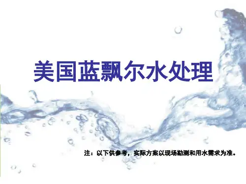 美国蓝飘尔水处理
