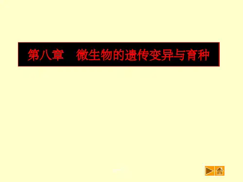 《微生物遗传》PPT课件