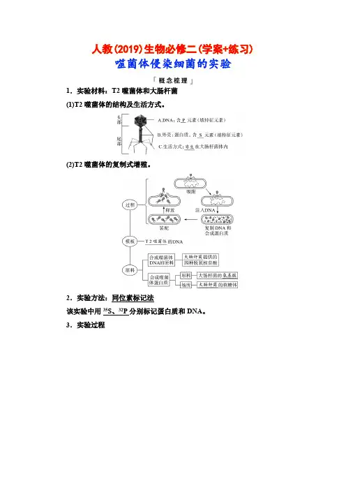 人教(2019)生物必修二(学案+练习)：噬菌体侵染细菌的实验