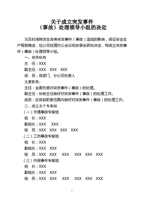 关于成立突发事件(事故)处理领导小组的决定