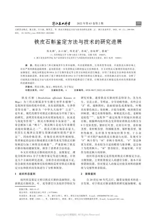 铁皮石斛鉴定方法与技术的研究进展