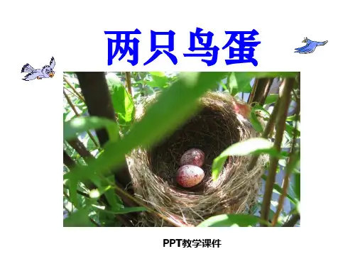 两只鸟蛋精品PPT课件