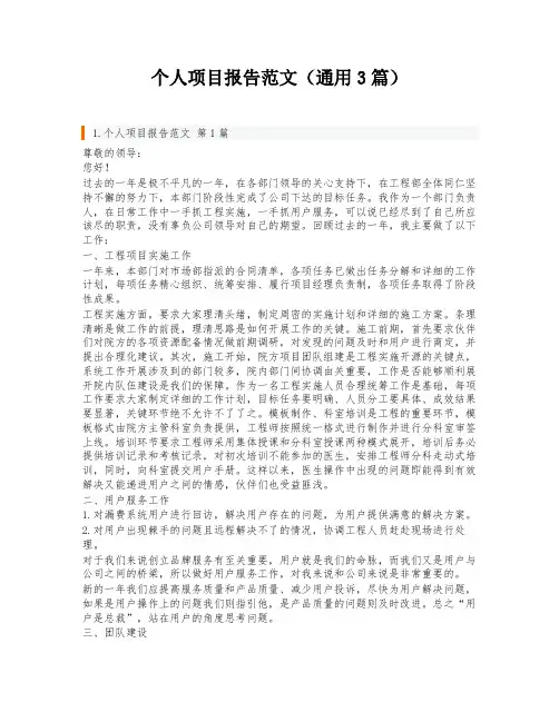 个人项目报告范文(通用3篇)