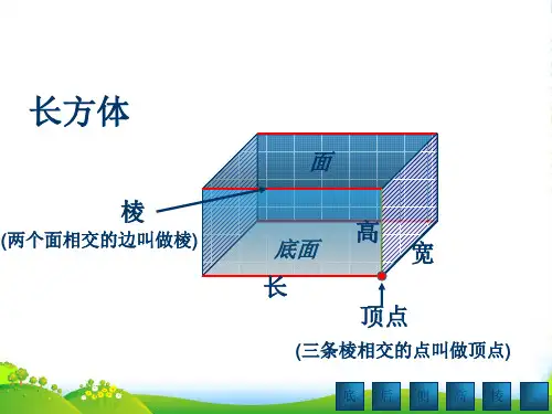 沪教版五年级下册数学课件6.5 总复习：图形与几何 (共12张PPT)