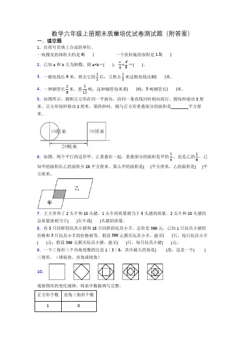 数学六年级上册期末质量培优试卷测试题(附答案)