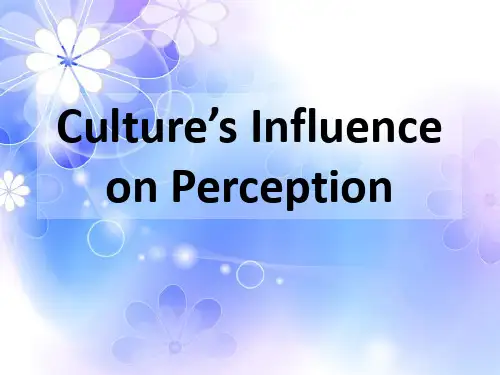 (跨文化交际)不同文化对观点的影响(culture's influence on perception)英文PPT