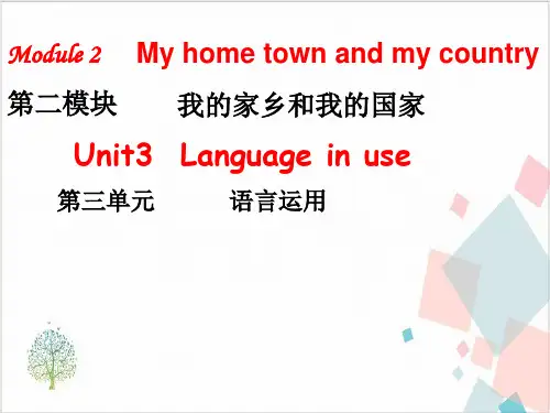 modulemyhometownandmycountryunitlanguageinuse-ppt下