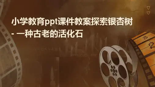 小学教育ppt课件教案,探索银杏树：一种古老的活化石