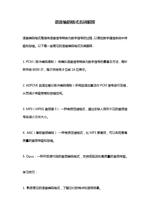 语音编码格式名词解释