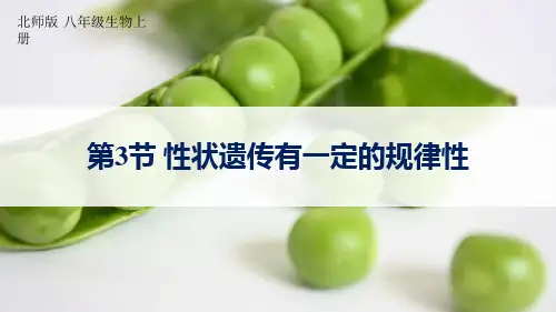 《性状遗传有一定的规律性》PPT优质课件
