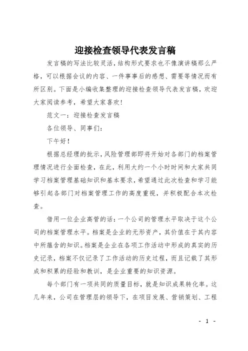 迎接检查领导代表发言稿