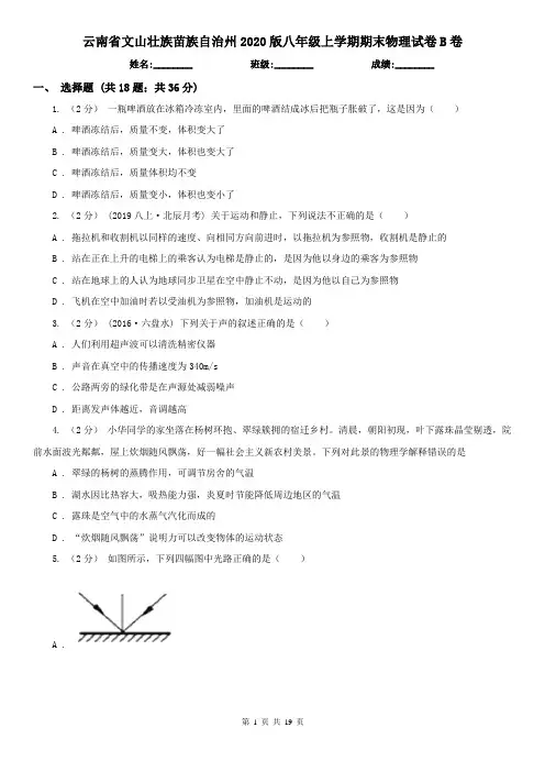 云南省文山壮族苗族自治州2020版八年级上学期期末物理试卷B卷