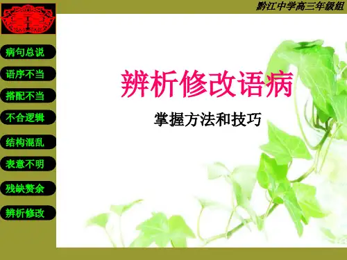 高中语文复习  辨析修改语病详解