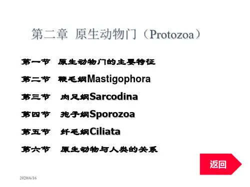普通高等动物学课件