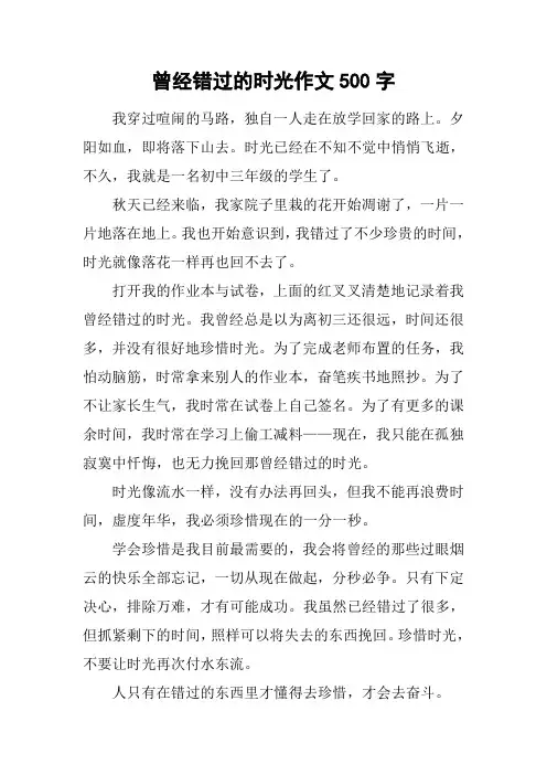 曾经错过的时光作文500字