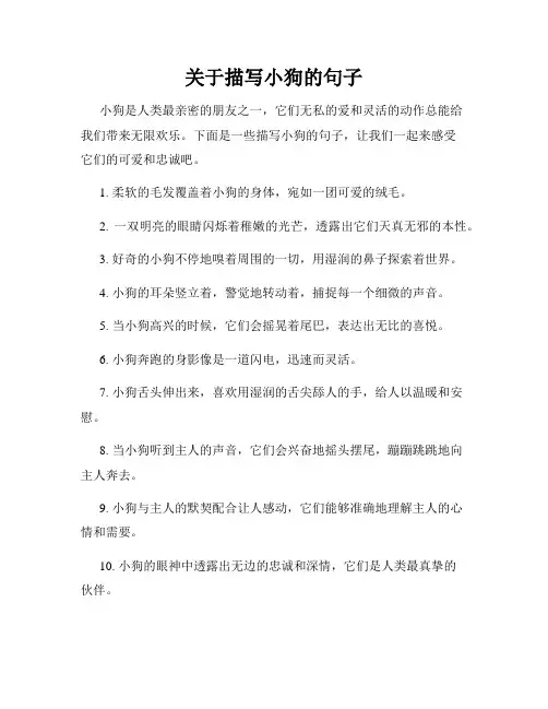 关于描写小狗的句子