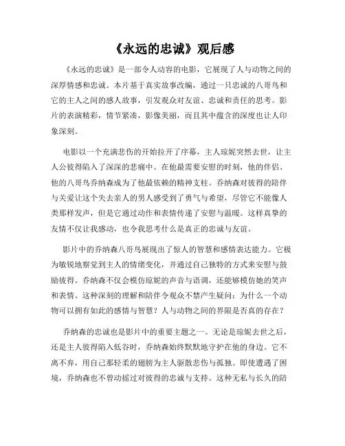 《永远的忠诚》观后感