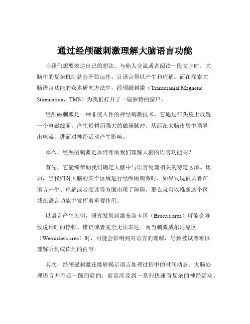 通过经颅磁刺激理解大脑语言功能