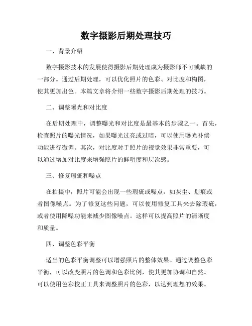 数字摄影后期处理技巧
