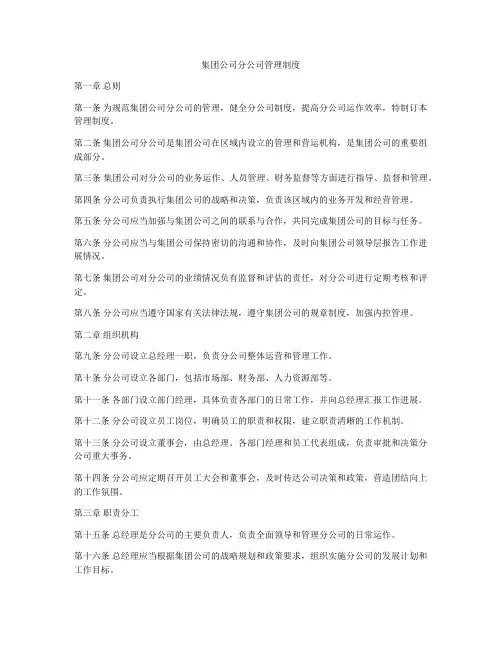 集团公司分公司管理制度