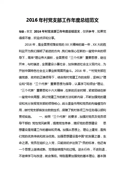 2016年村党支部工作年度总结范文