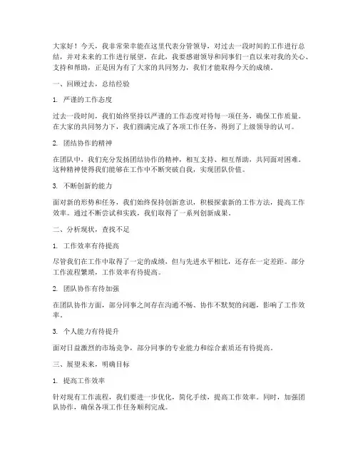 分管领导总结发言稿