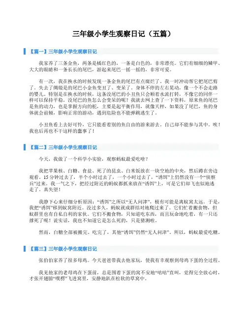 三年级小学生观察日记(五篇)