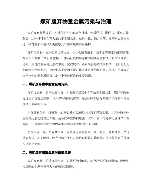 煤矿废弃物重金属污染与治理