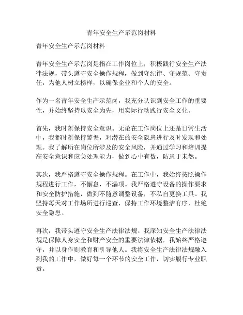 青年安全生产示范岗材料