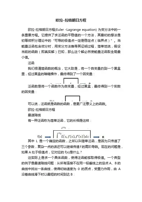欧拉–拉格朗日方程
