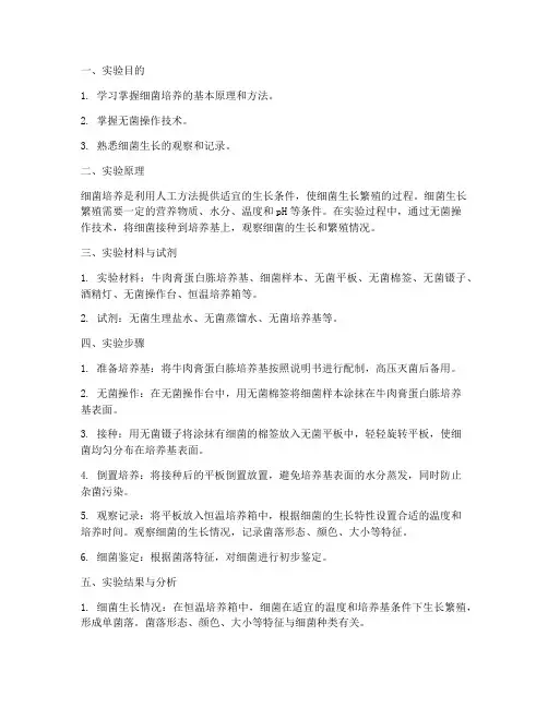 细菌培养过程实验报告