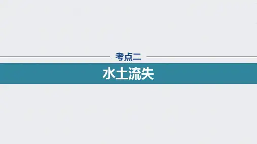 22版：考点二 水土流失（步步高）